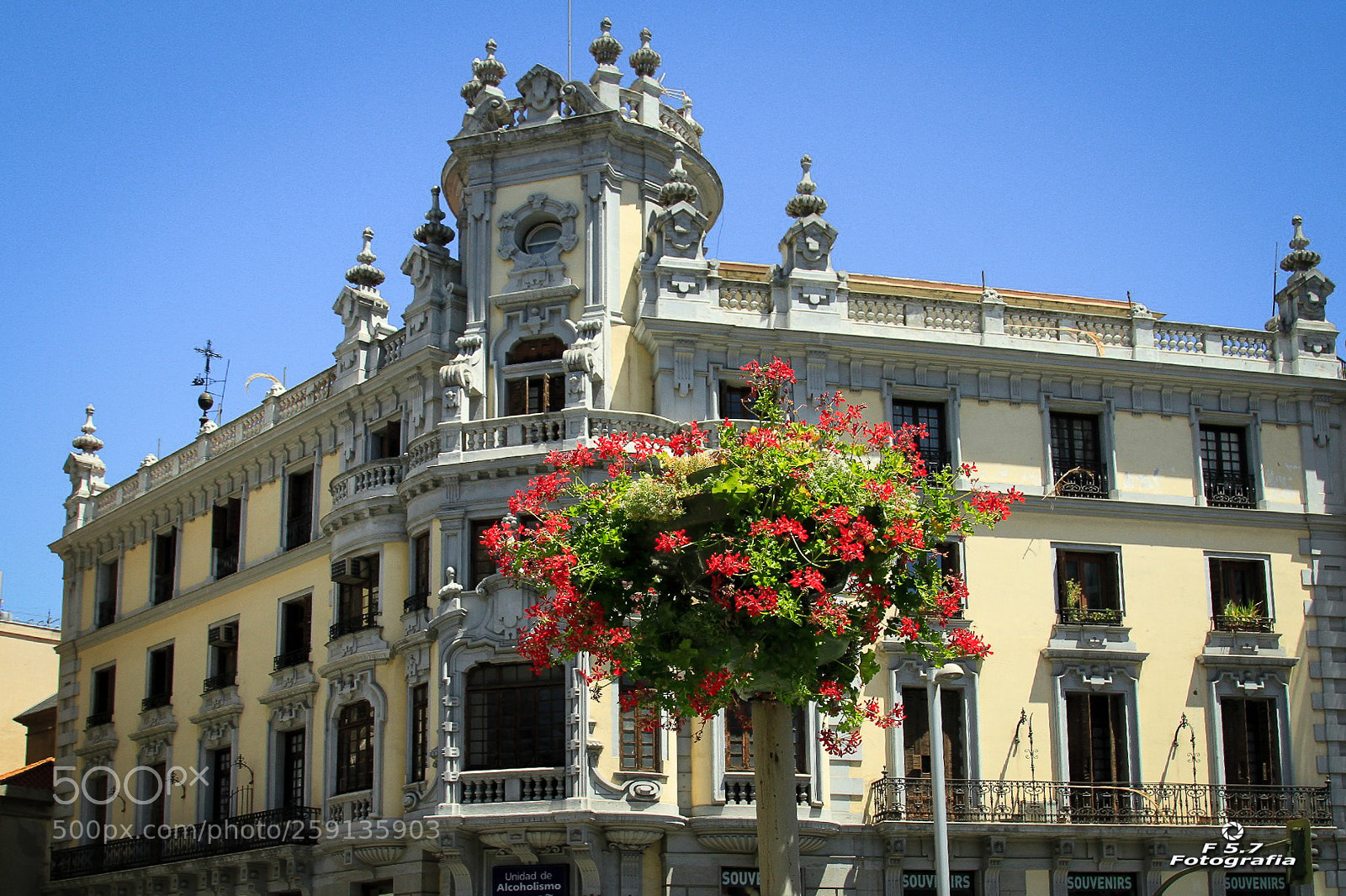 Canon EOS 7D sample photo. Delicadeza - madrid photography