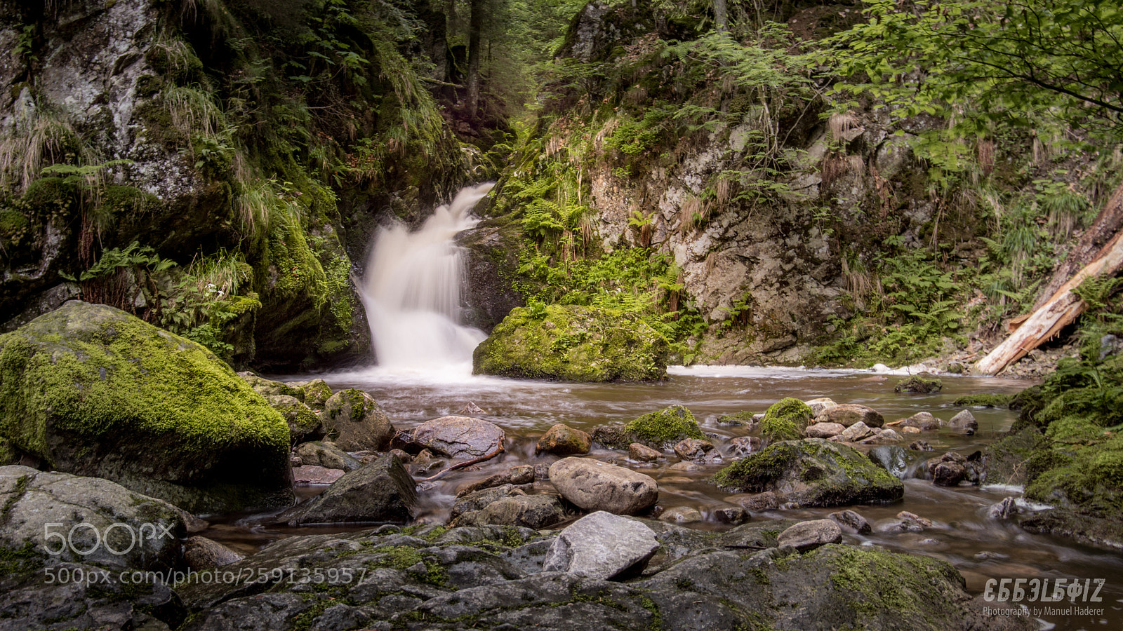 Sony ILCA-77M2 sample photo. Untamed stream ii photography