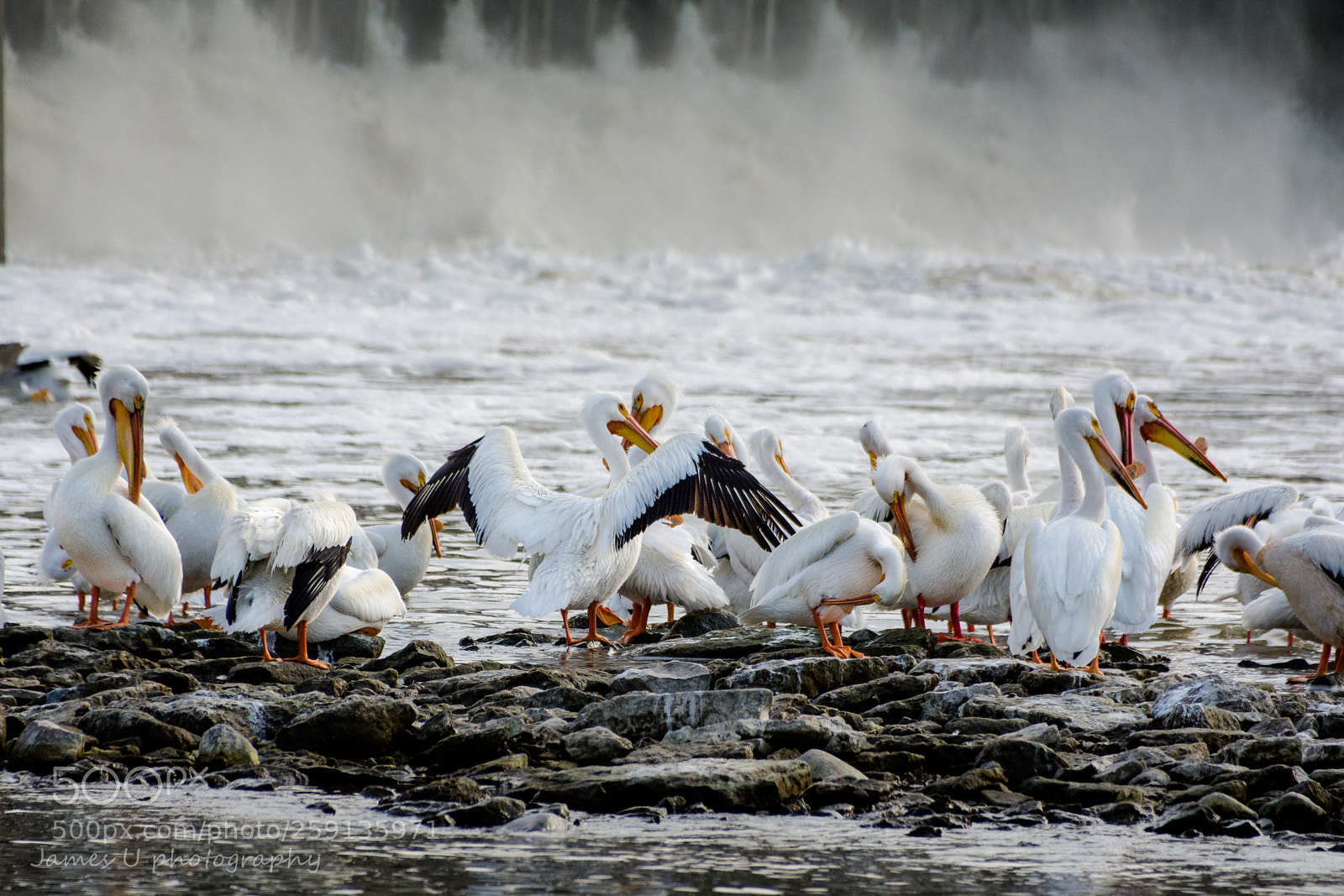 Nikon D7100 sample photo. Pelican penninsula photography