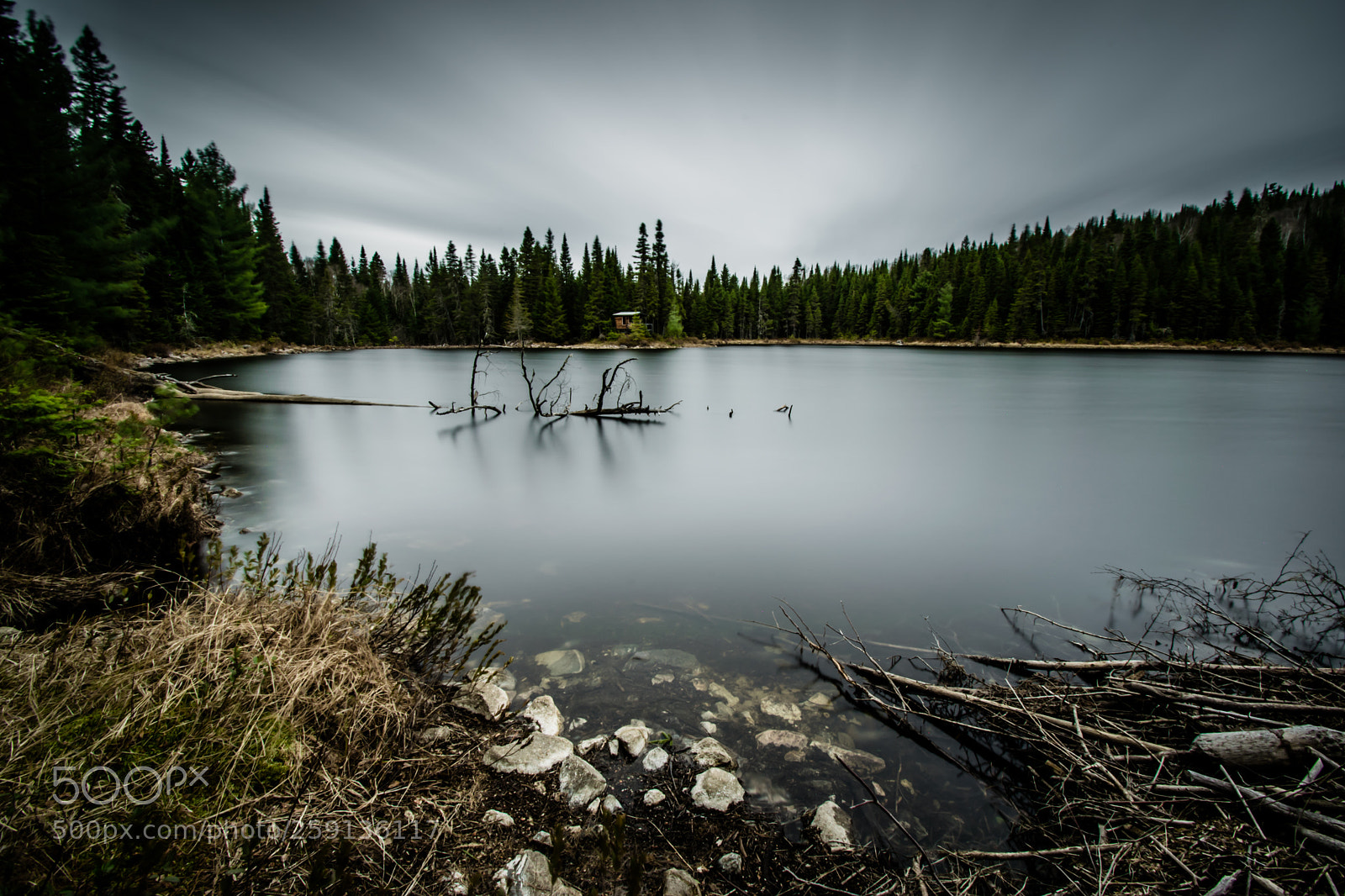 Nikon D3300 sample photo. Beaver's view photography