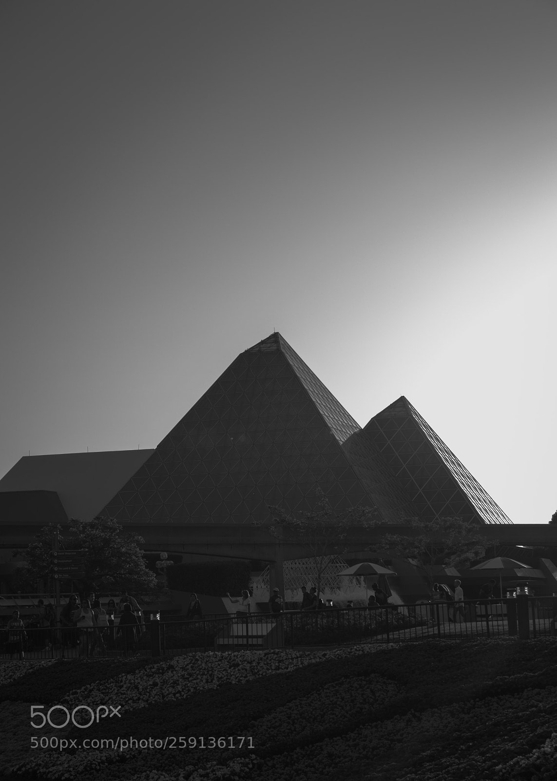 Nikon D3200 sample photo. Prismm photography
