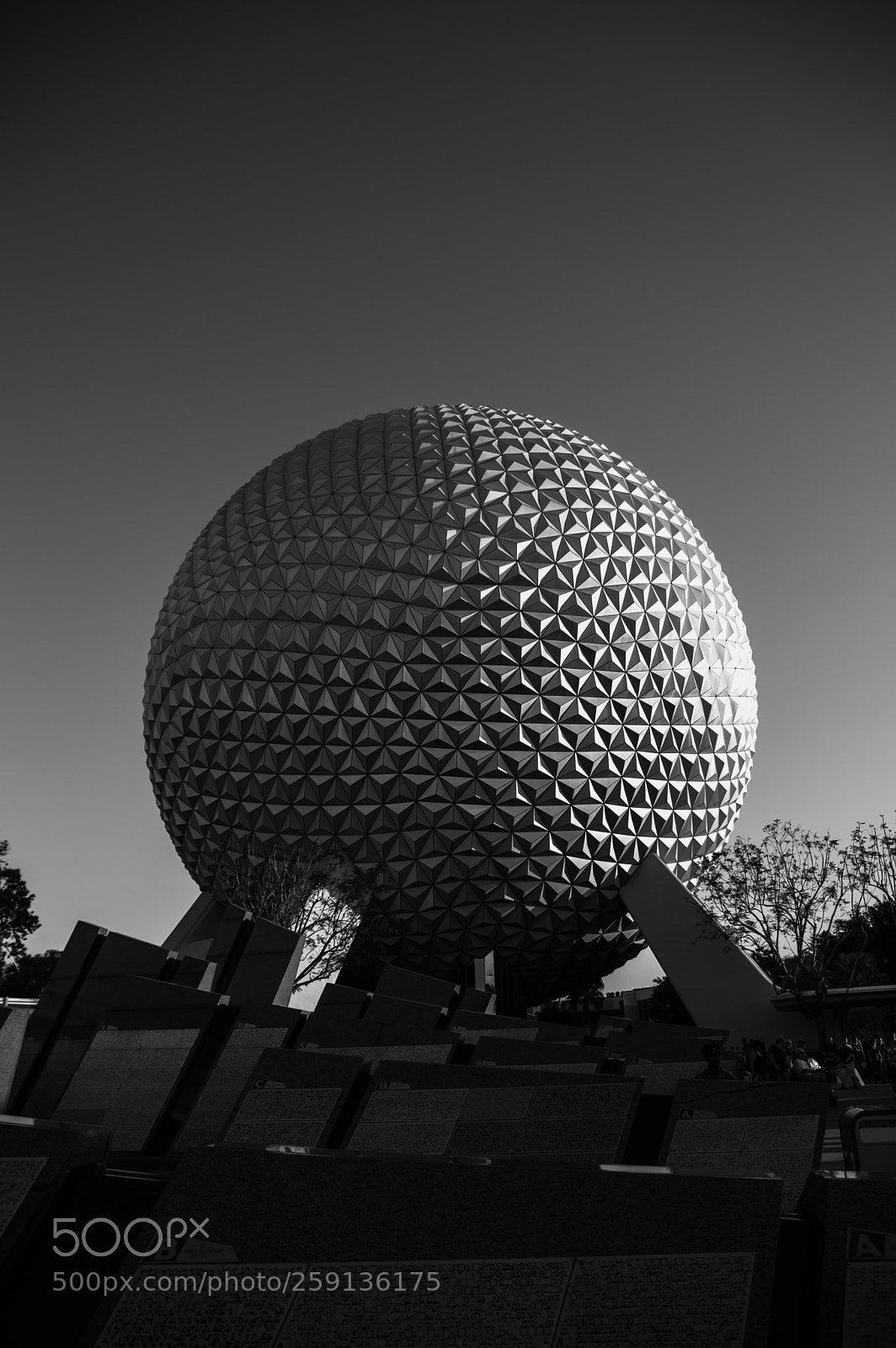 Nikon D3200 sample photo. Epcot photography
