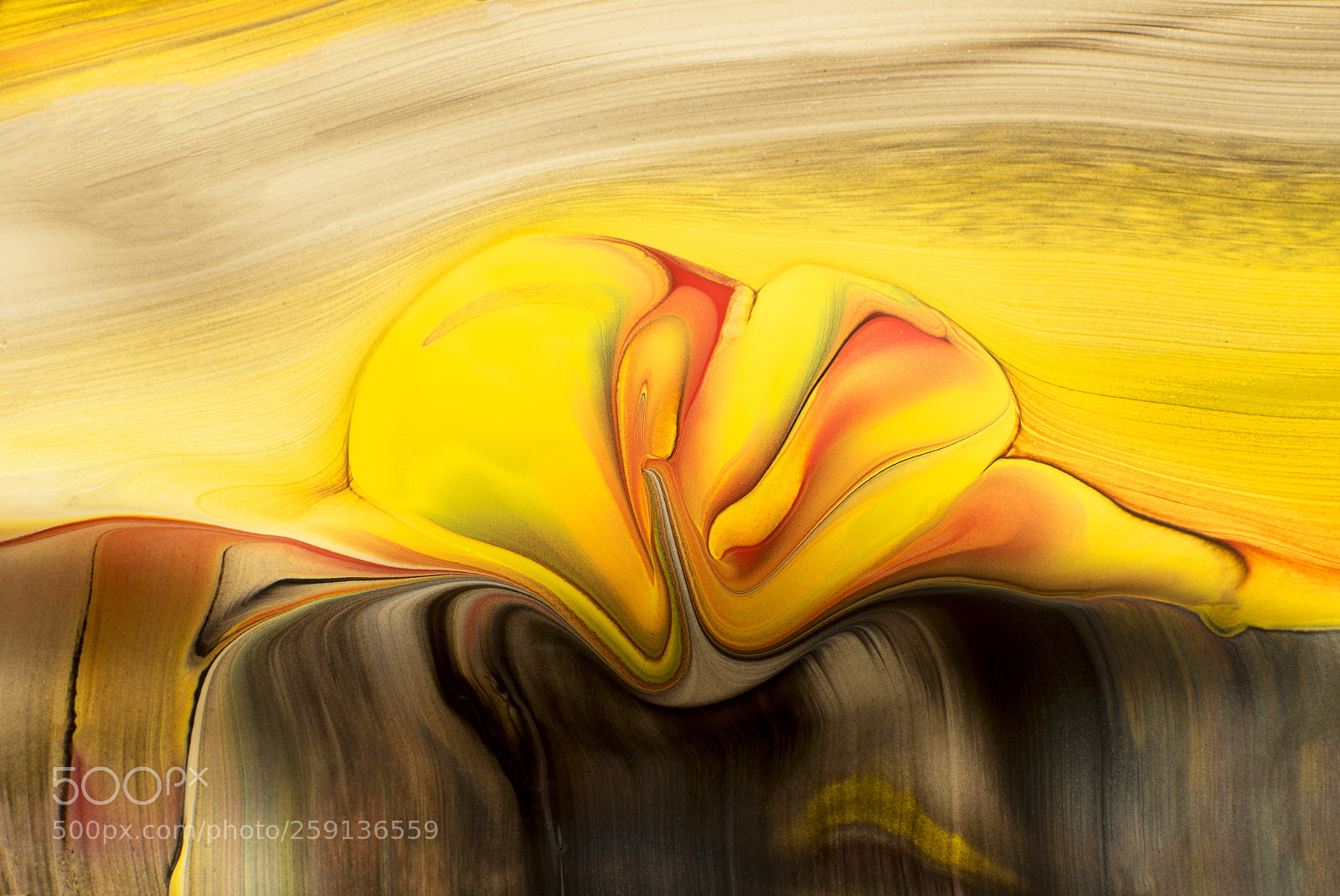 Sony a7R sample photo. Plate 7711 photography