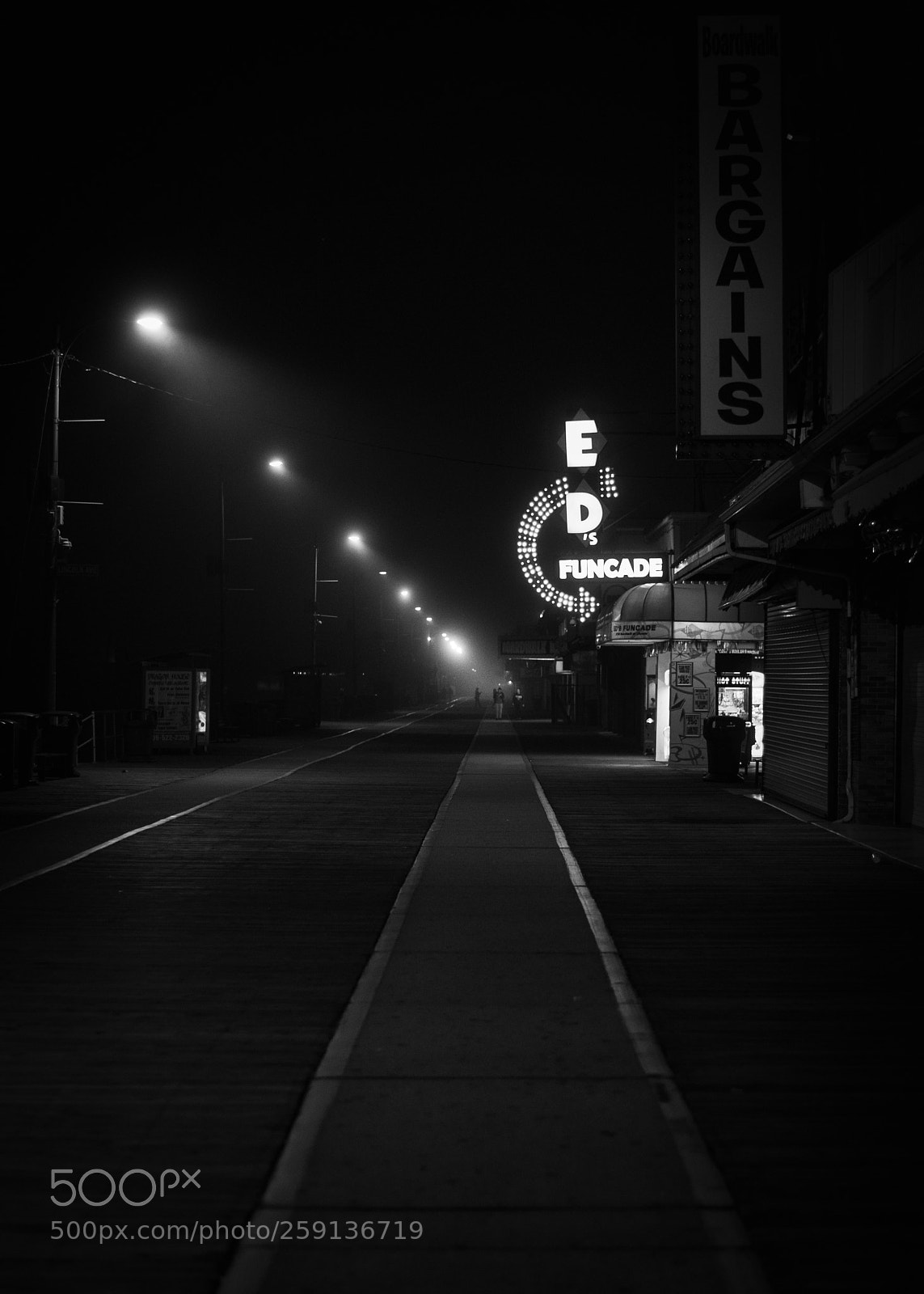 Nikon D750 sample photo. Nightwood photography