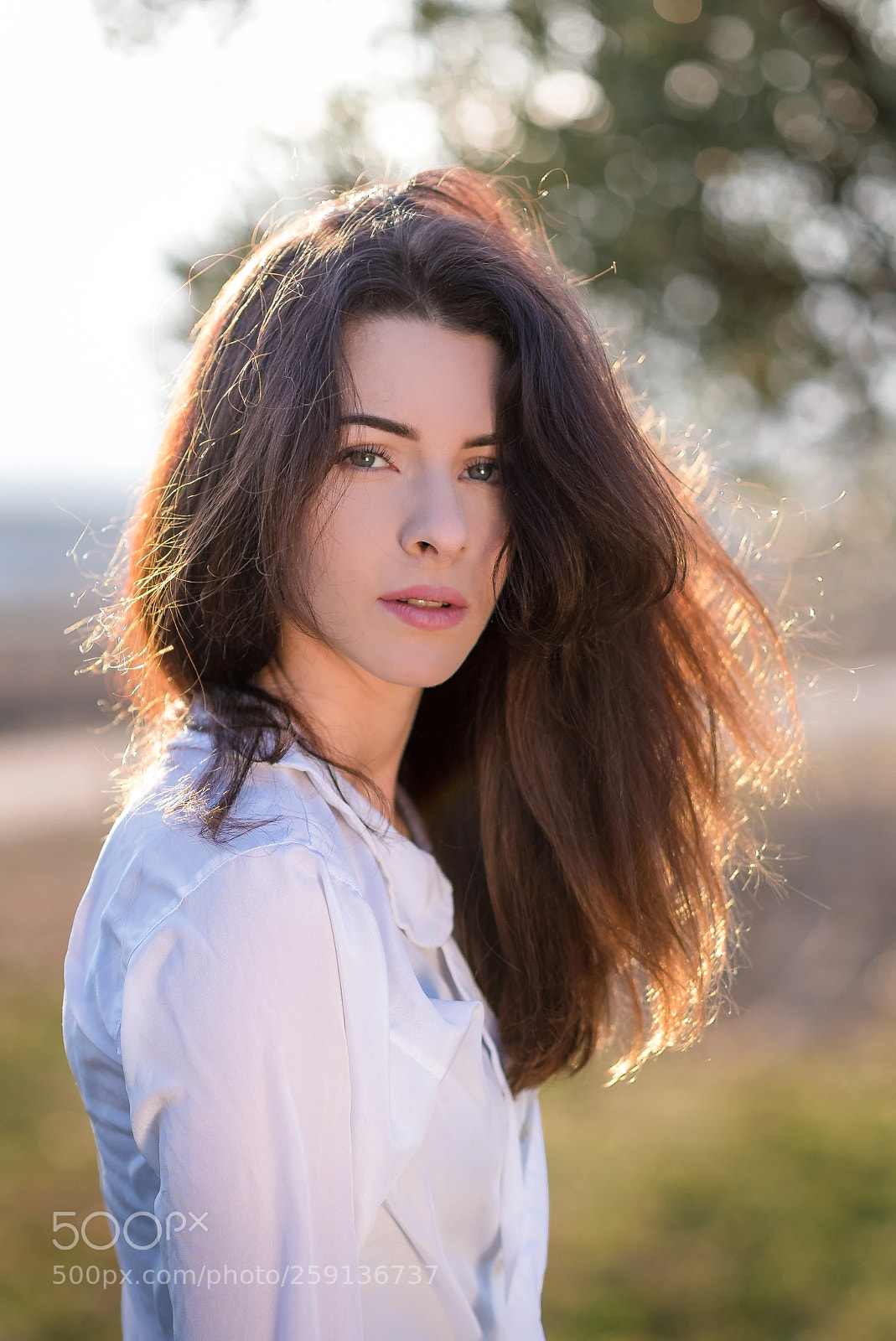 Nikon D750 sample photo. Un regard naturel photography