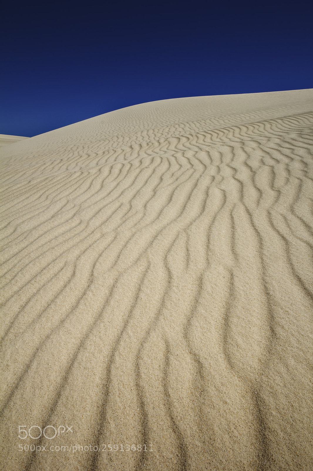 Canon EOS 60D sample photo. Dune ripples photography