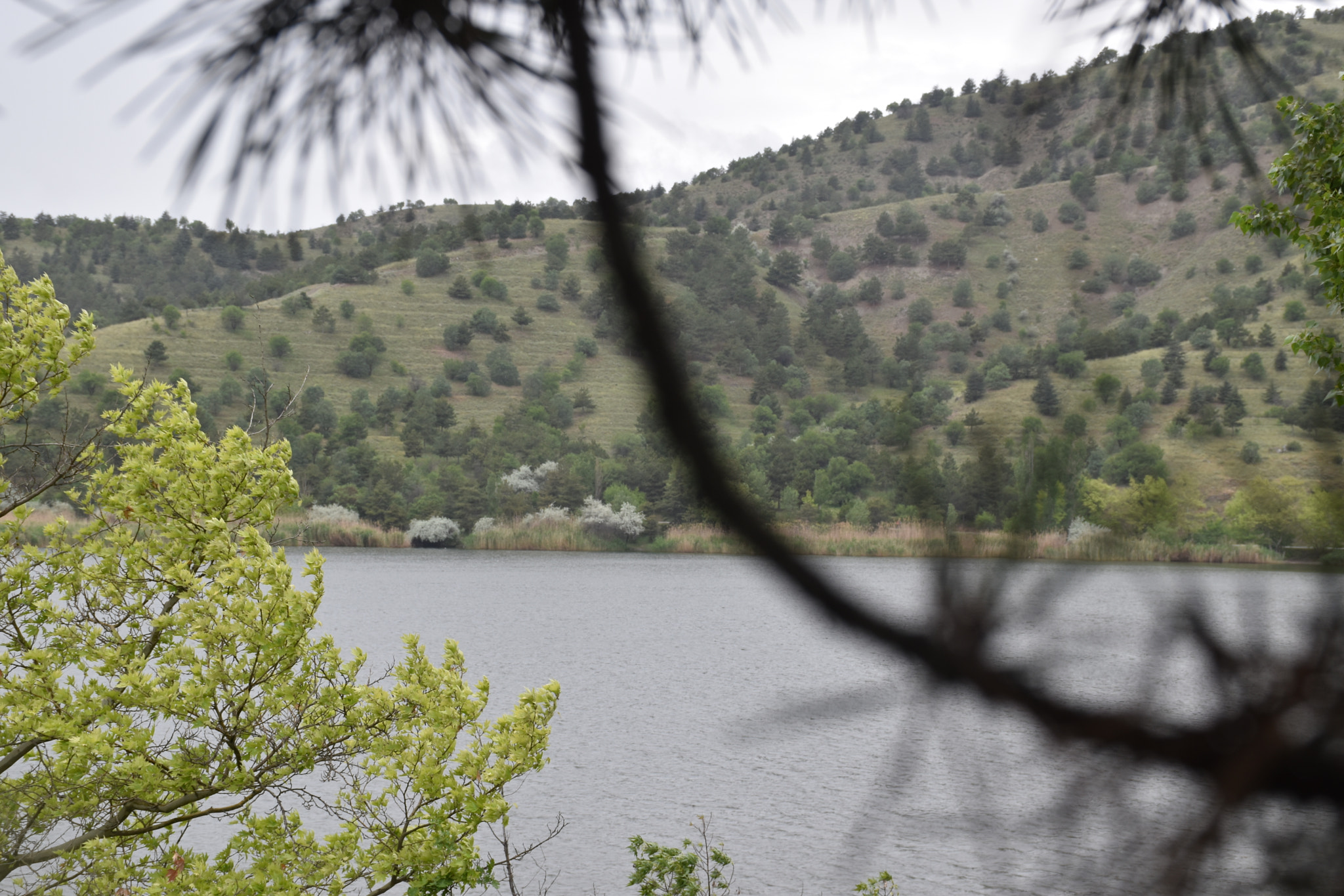 Nikon D5600 sample photo. 23 photography