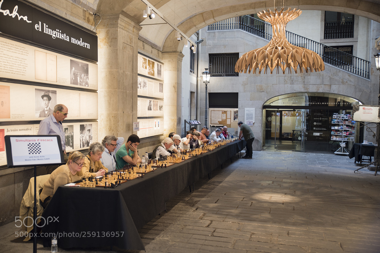 Nikon D750 sample photo. Concentration photography