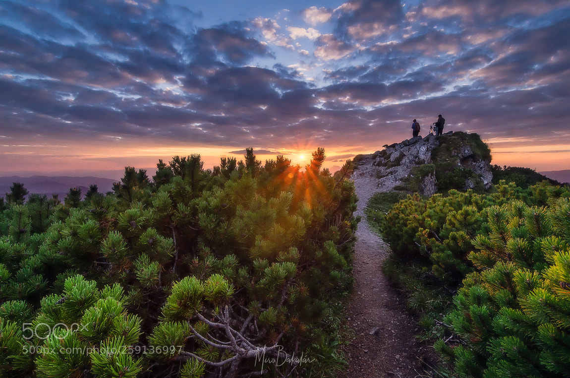 Nikon D7000 sample photo. Sunset on ve k photography