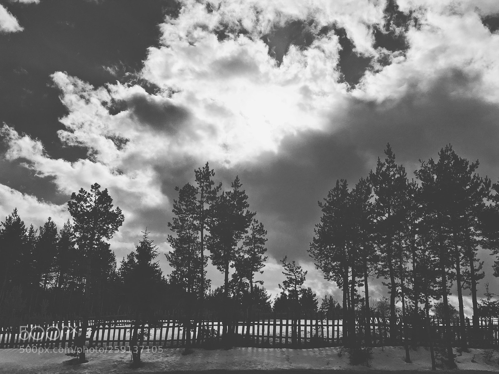 Apple iPhone SE sample photo. Untitled photography