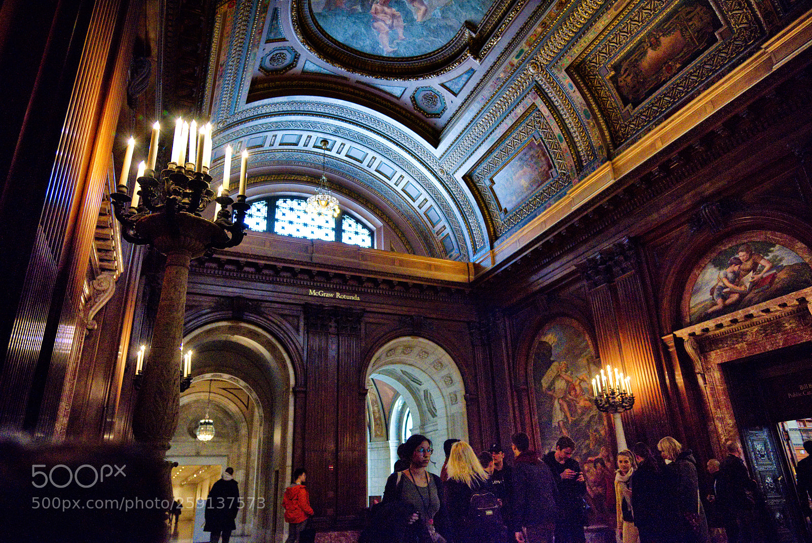 Nikon D810 sample photo. New york public library photography