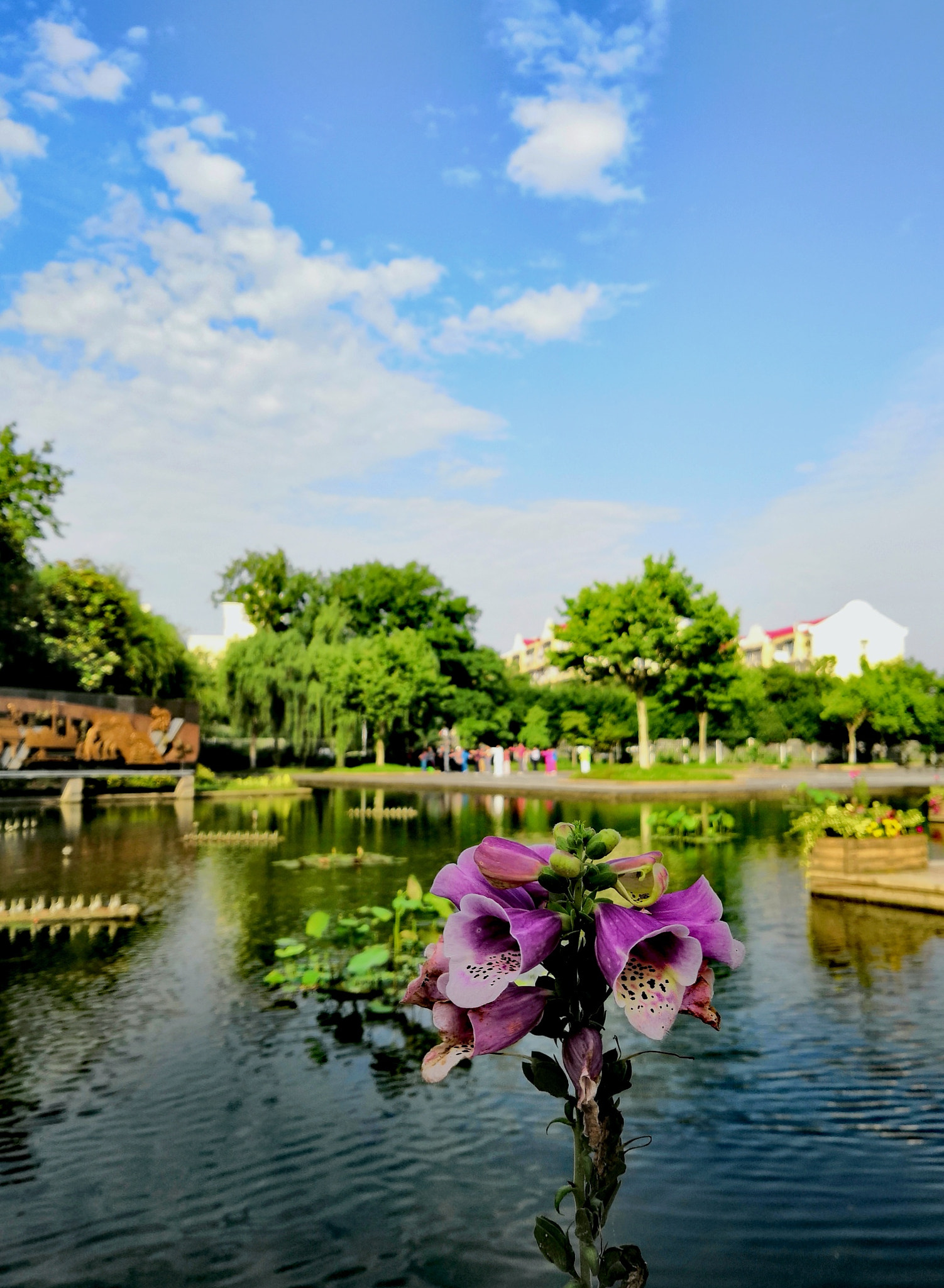 HUAWEI Honor 10 sample photo