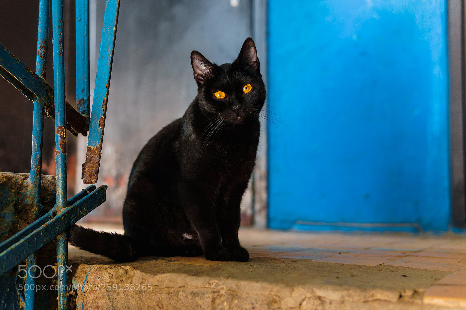 Sony a6000 sample photo. Paradnaya photography
