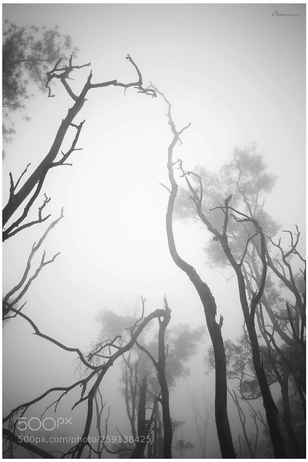 Canon EOS 6D sample photo. A misty day .. photography