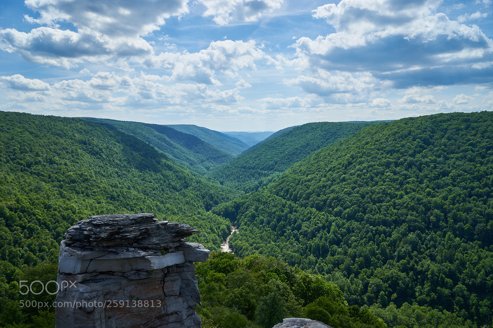 Sony a7 II sample photo. Summer at lindy point photography