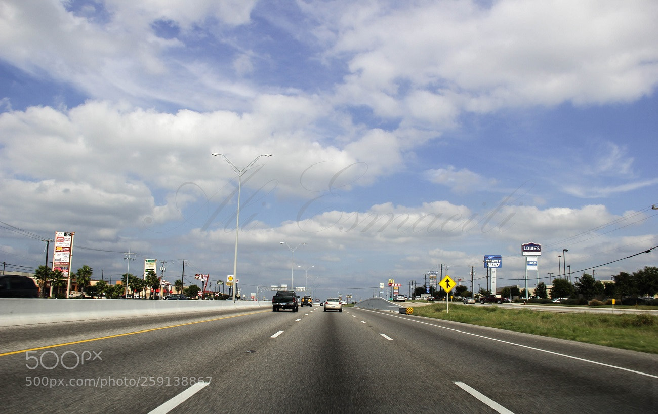 Canon EOS 60D sample photo. In lines photography
