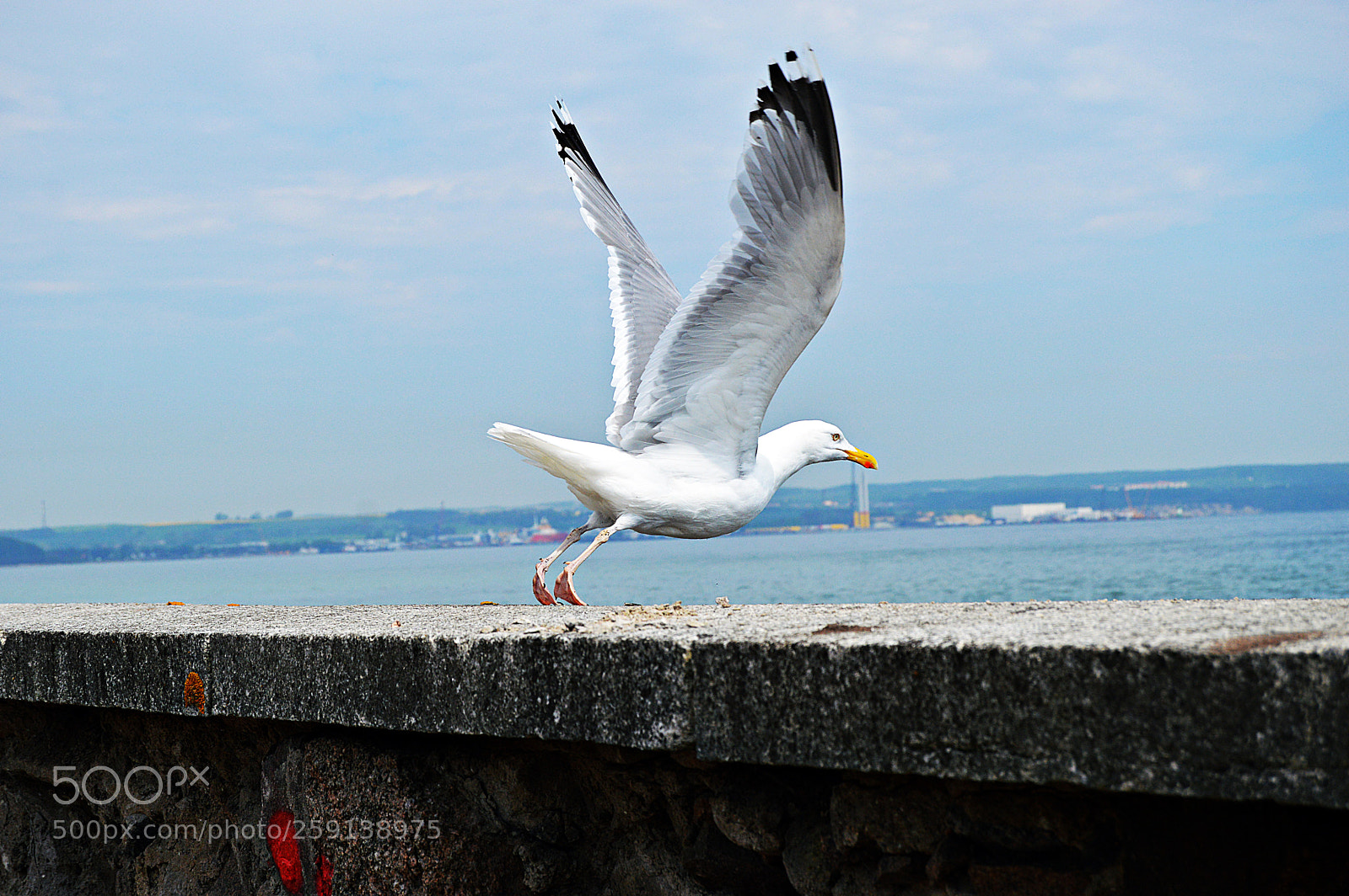 Nikon D3200 sample photo. Ready for take off photography