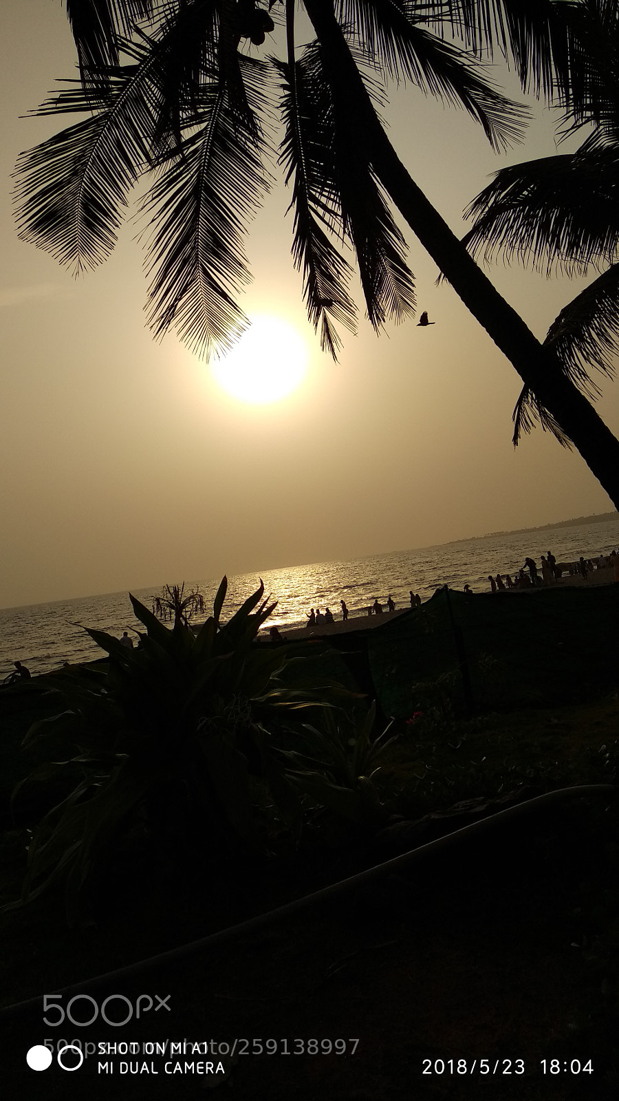 Xiaomi Mi A1 sample photo. Beach photography