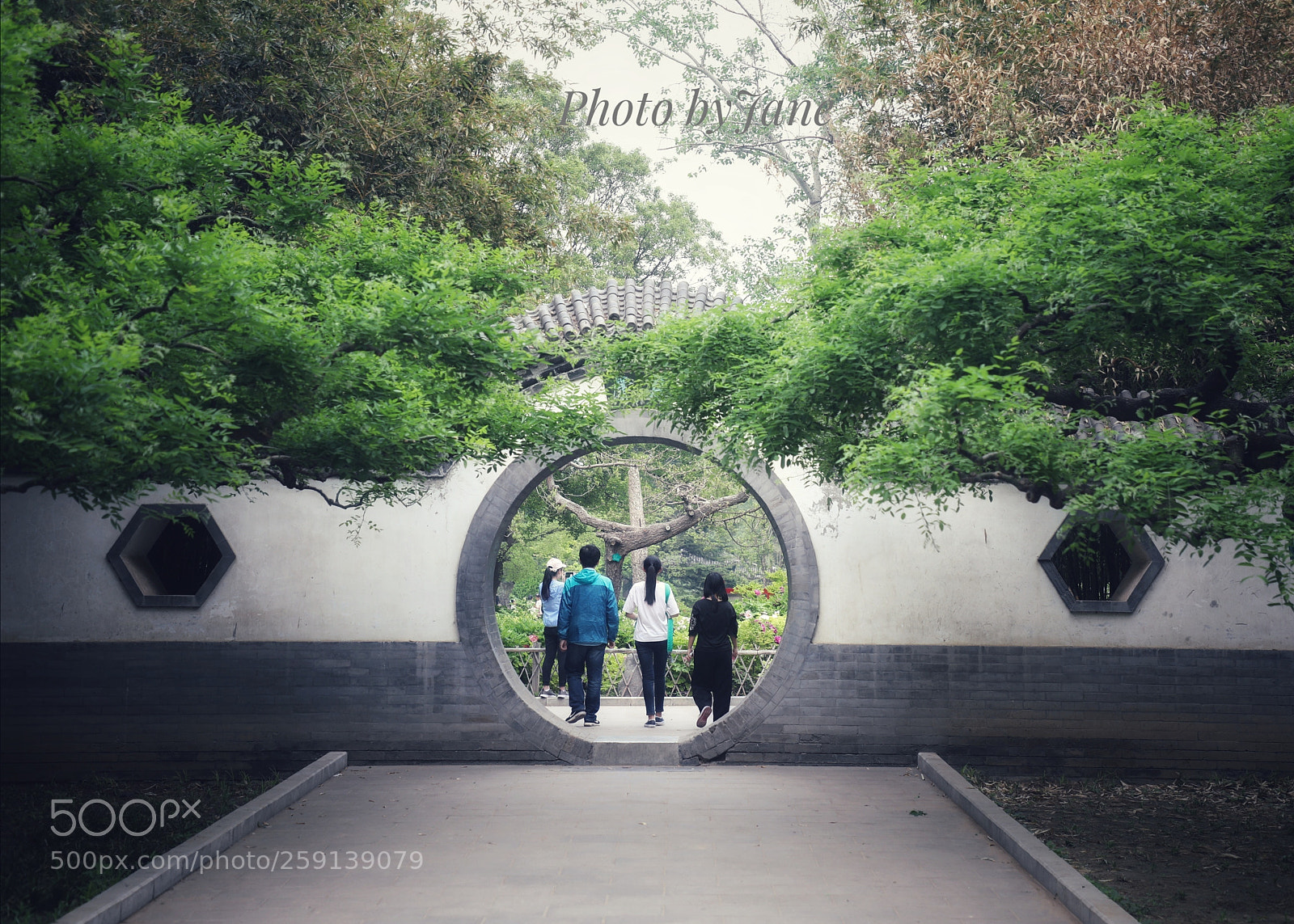 Canon EOS 5D Mark IV sample photo. Untitled photography