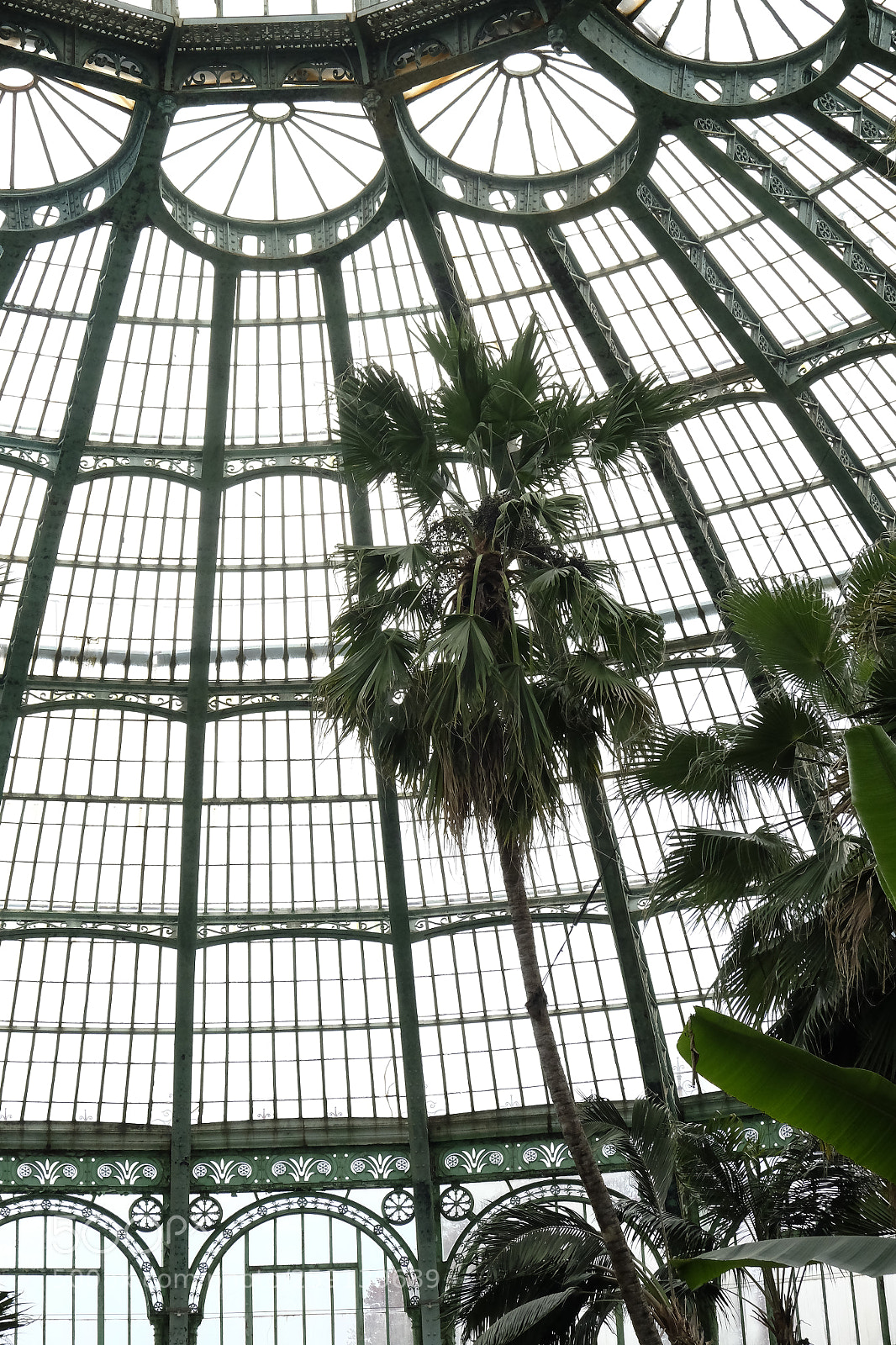 Fujifilm X-T10 sample photo. The royal greenhouses photography
