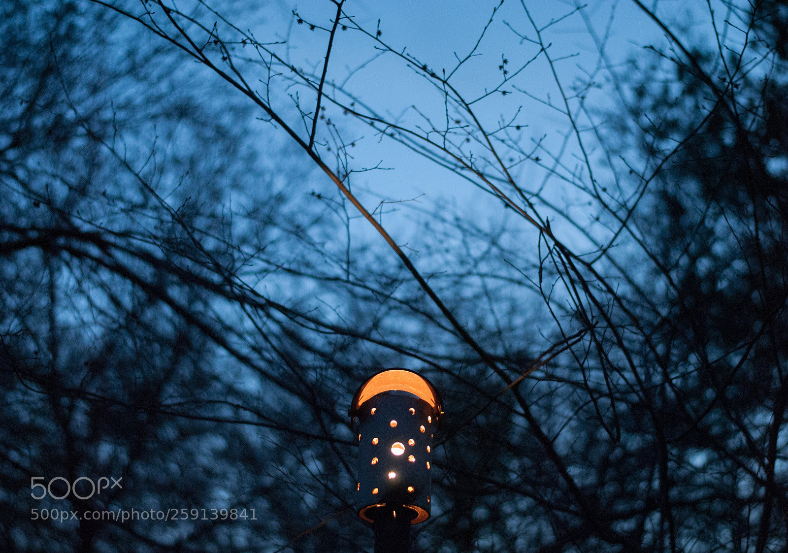 Nikon D3000 sample photo. Lantern photography