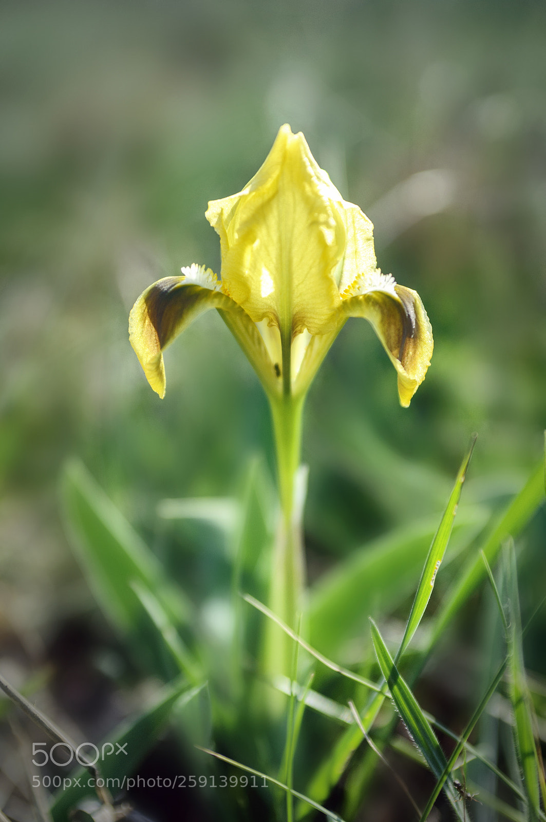 Nikon D90 sample photo. ... photography