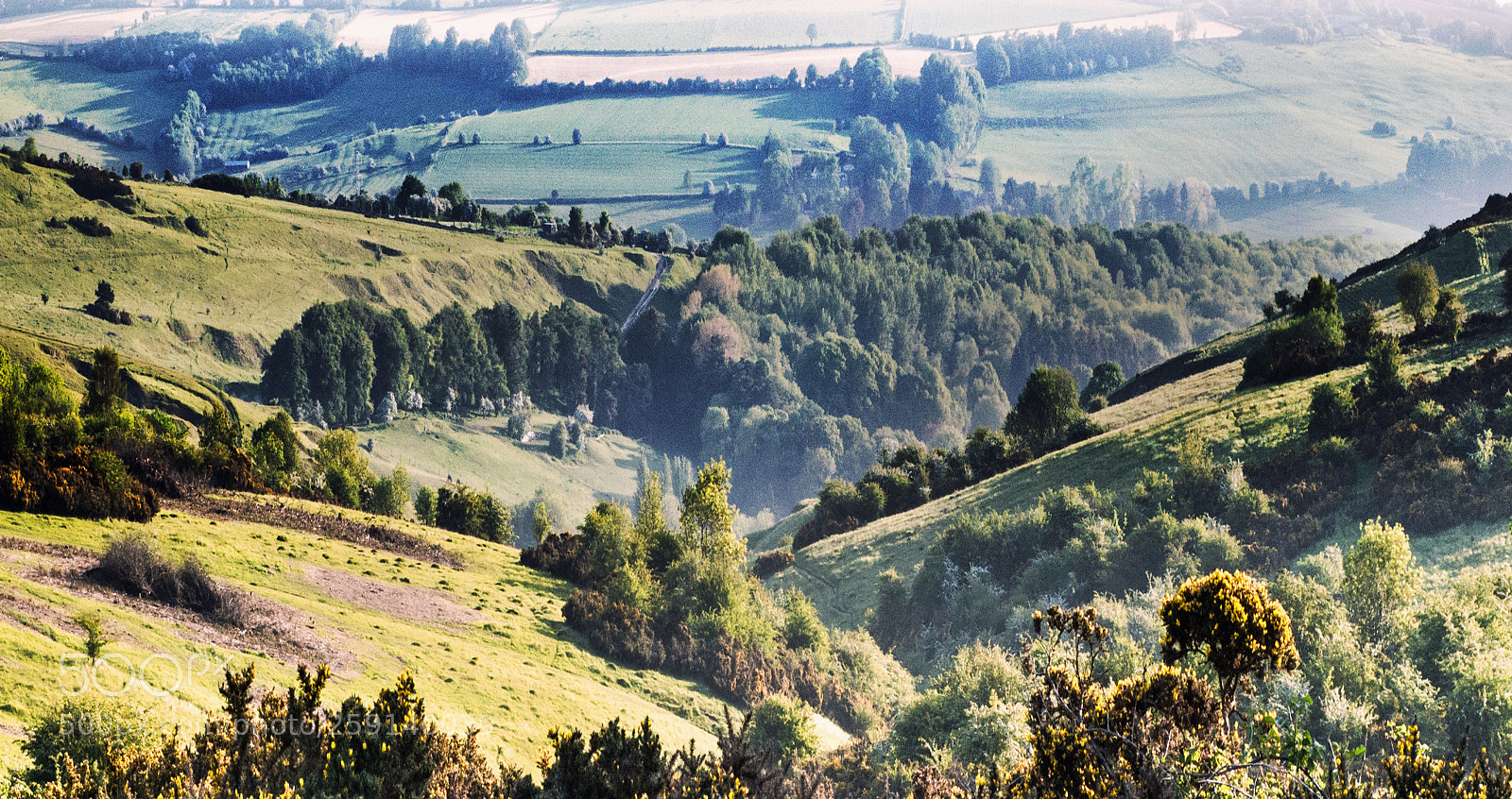 Sony Alpha DSLR-A850 sample photo. Valley,cotswolds photography