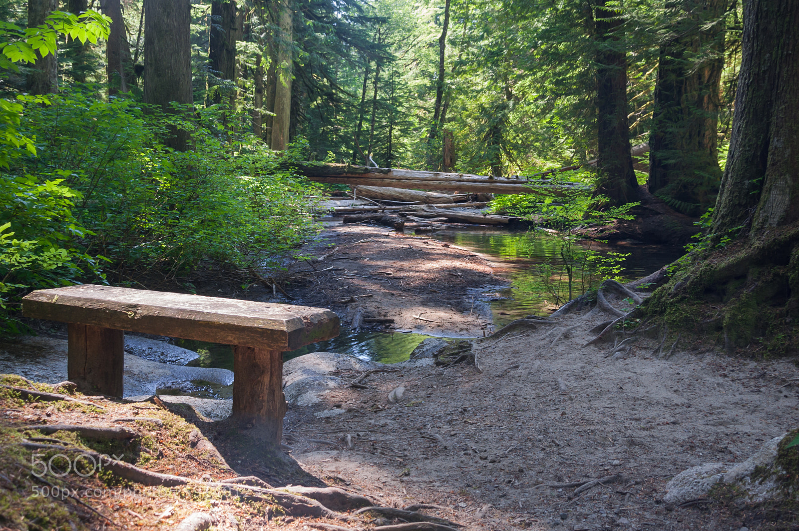 Nikon D90 sample photo. Forest observation point photography