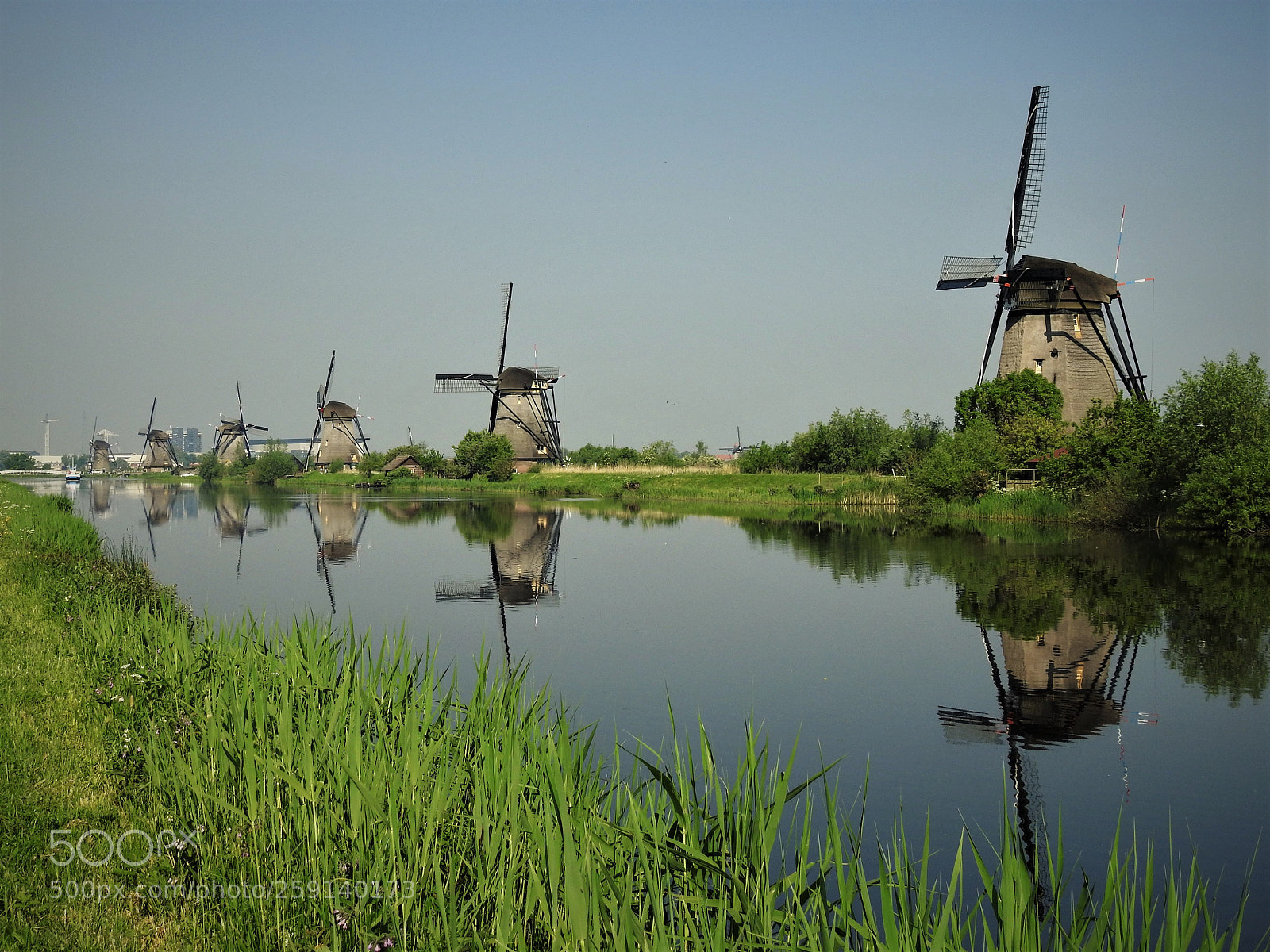Nikon Coolpix P900 sample photo. The mills of kinderdijk photography