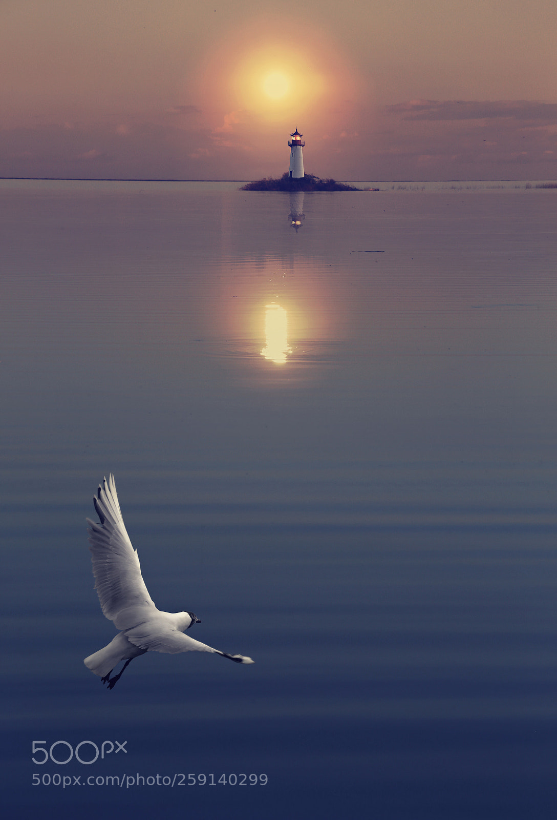 Canon EOS 6D sample photo. Copy photography