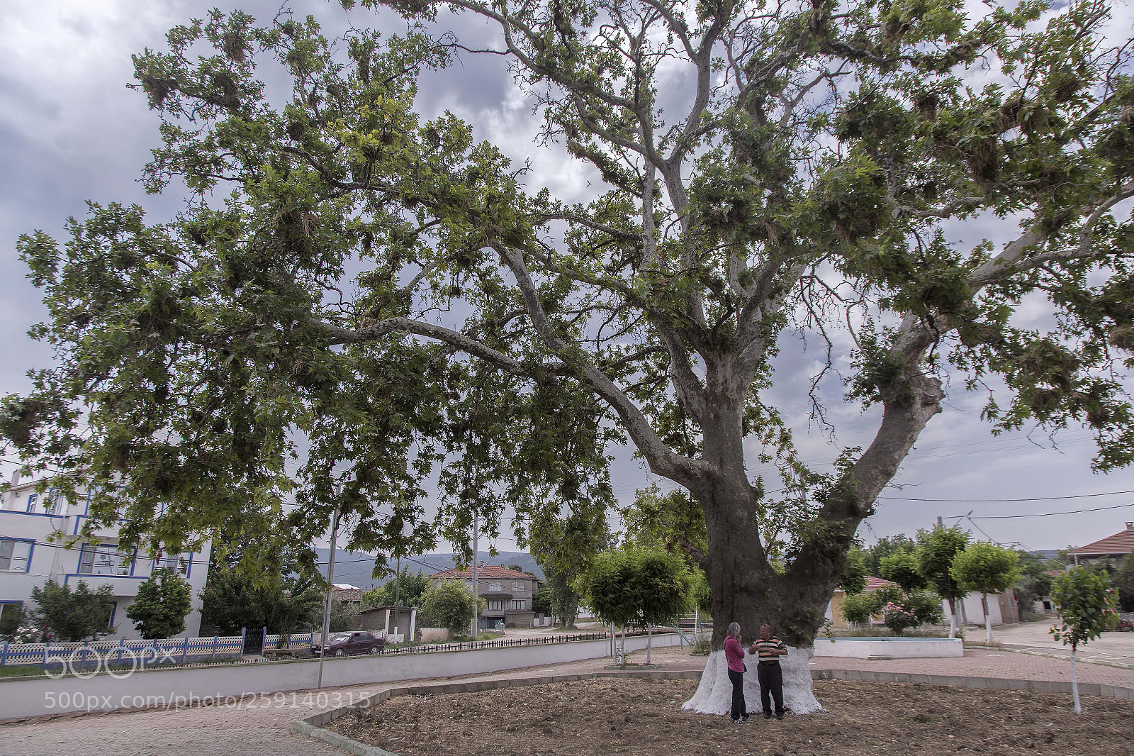 Canon EOS 6D sample photo. Guvemalan koyu photography