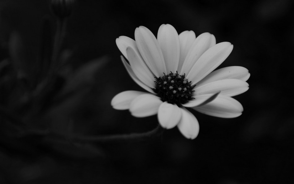 Samsung NX30 sample photo. Bu son olsun photography