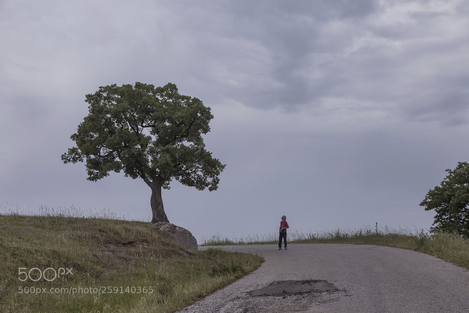 Canon EOS 6D sample photo. Guvemalan koyu photography