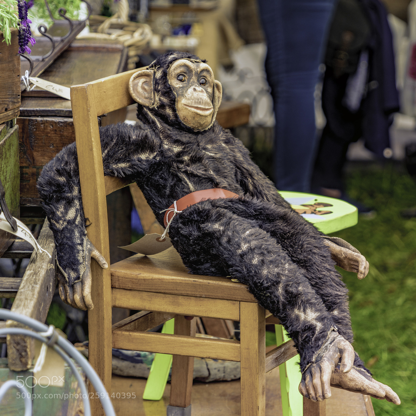 Sony a7R II sample photo. Not french photography