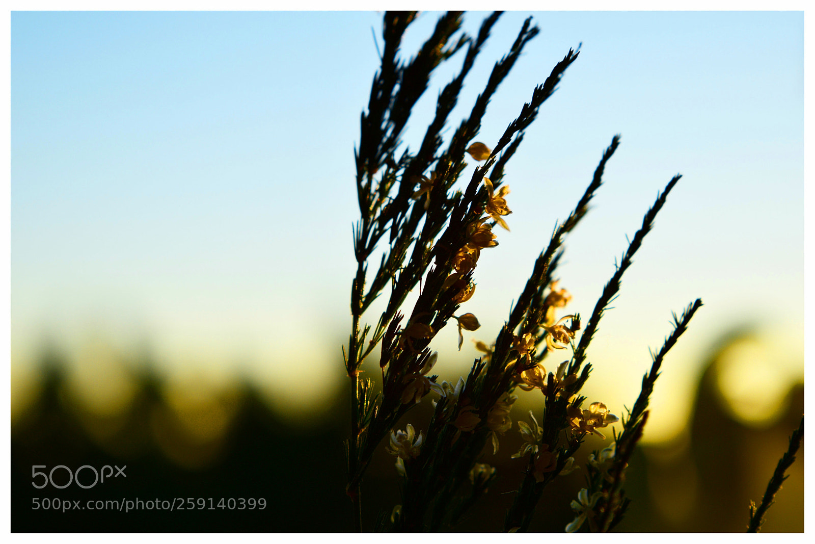 Nikon D5300 sample photo. ... photography
