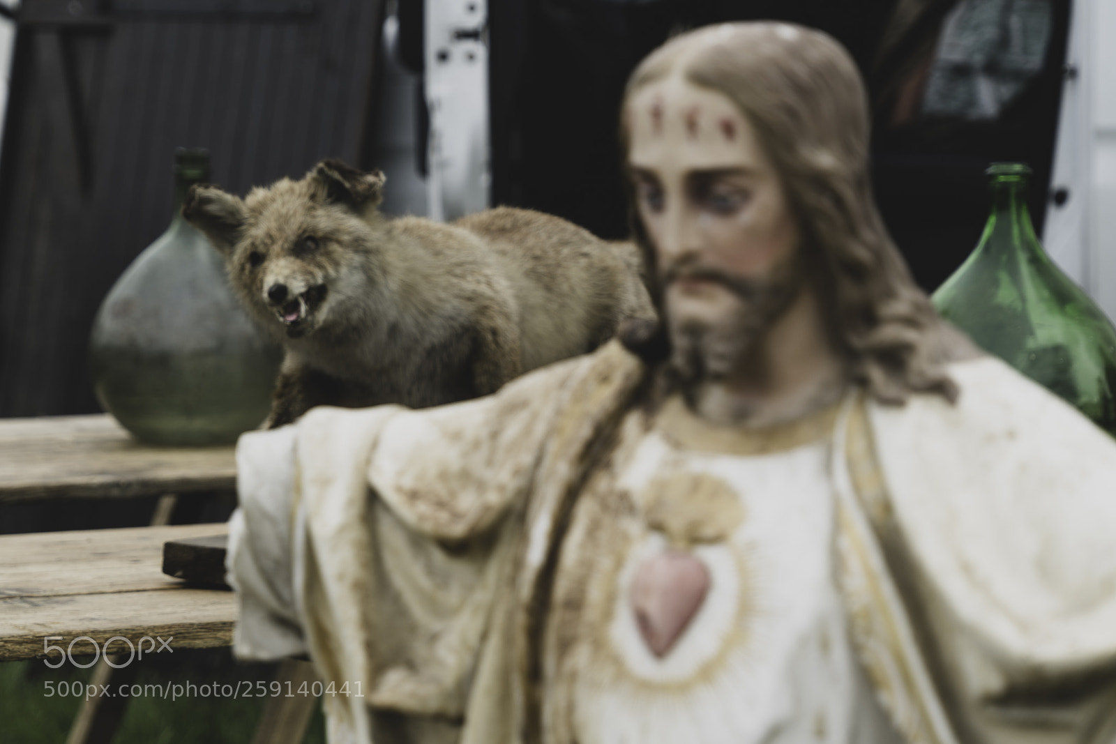 Sony a7R II sample photo. Temptation photography