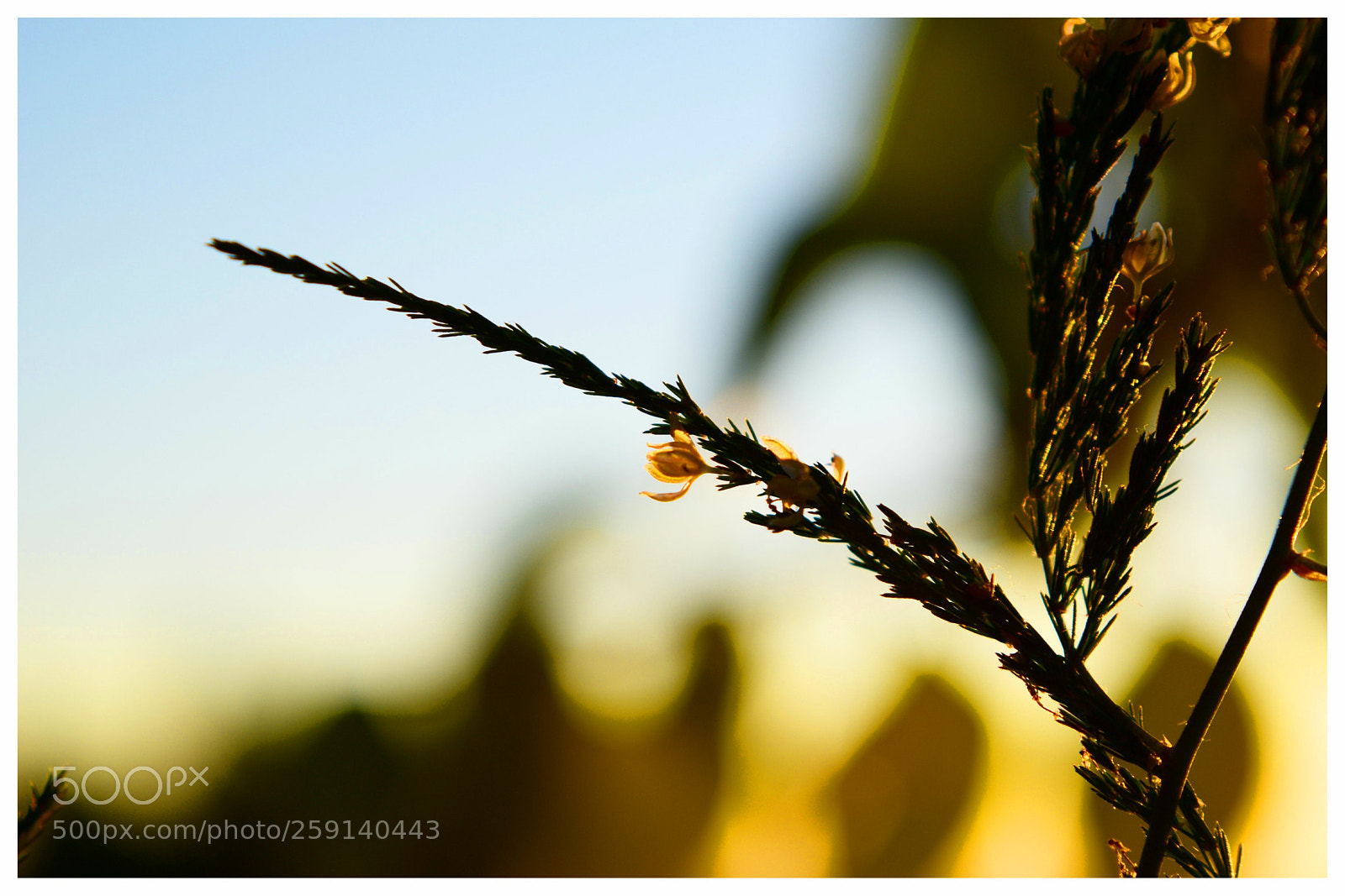 Nikon D5300 sample photo. ... photography