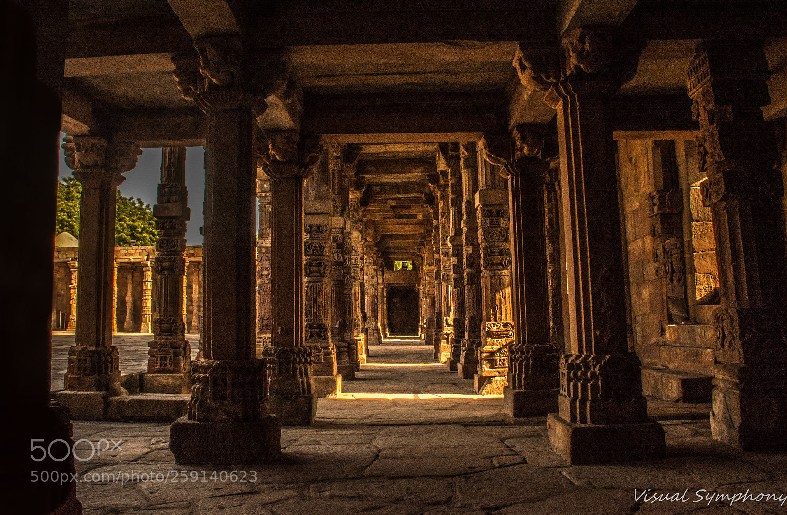 Nikon D5200 sample photo. A golden morning photography