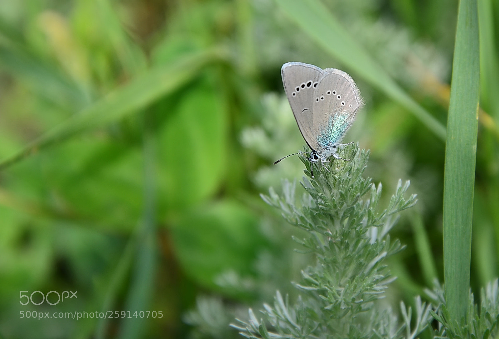 Nikon D5100 sample photo. Untitled photography