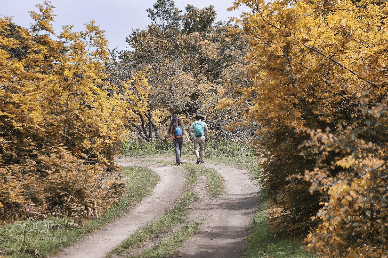 Canon EOS 6D sample photo. Karacabey longoz ormanlari photography