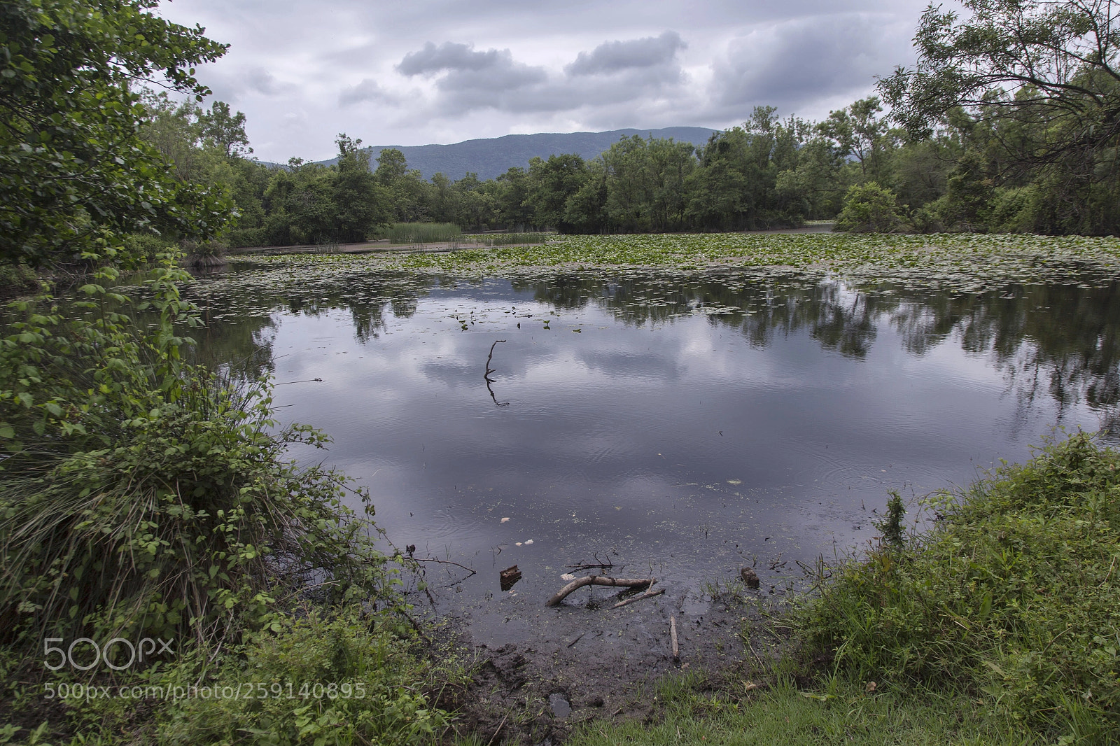 Canon EOS 6D sample photo. Karacabey longoz ormanlari photography