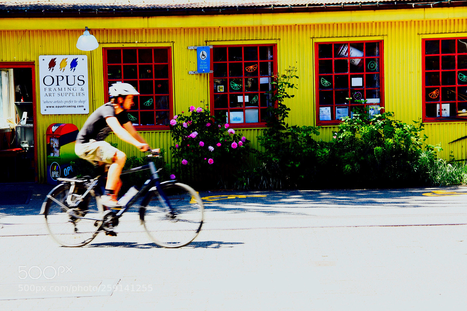 Canon EOS 60D sample photo. Let me go  photography