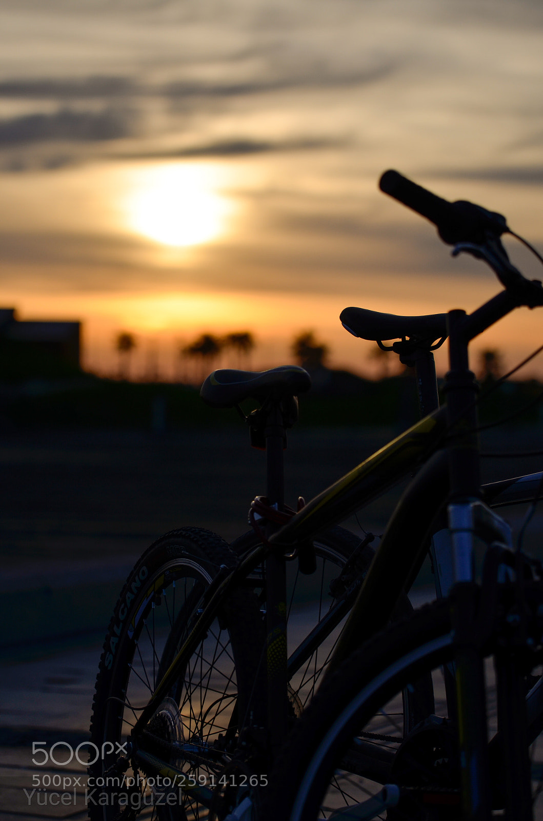 Nikon D5100 sample photo. Untitled photography