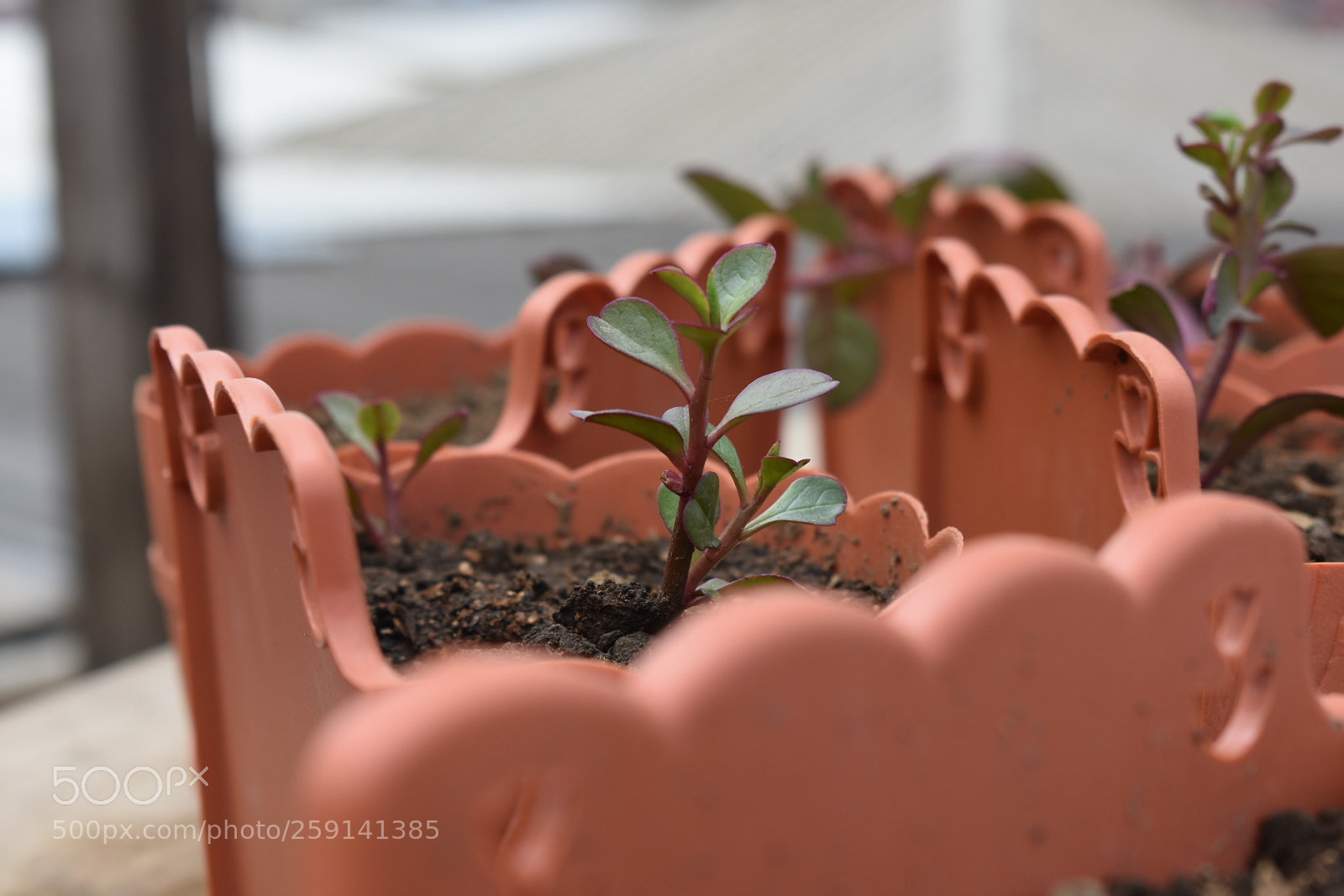Nikon D3400 sample photo. Untitled photography