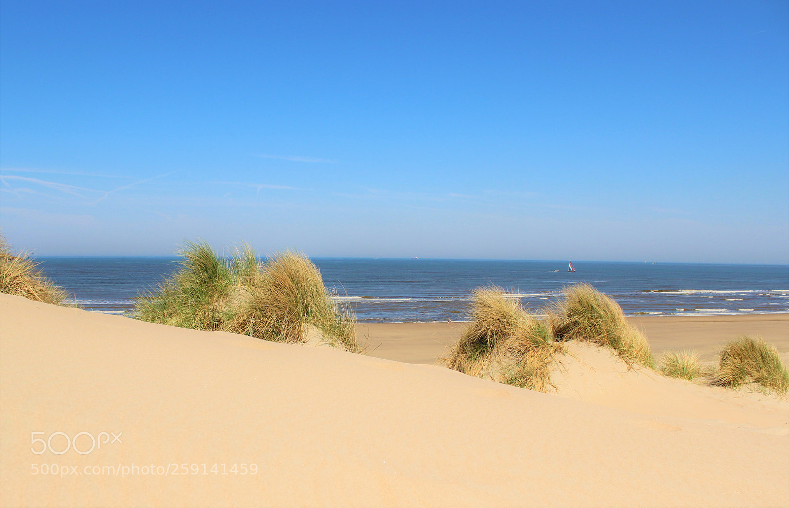Canon EOS 600D (Rebel EOS T3i / EOS Kiss X5) sample photo. Bloemendaal photography
