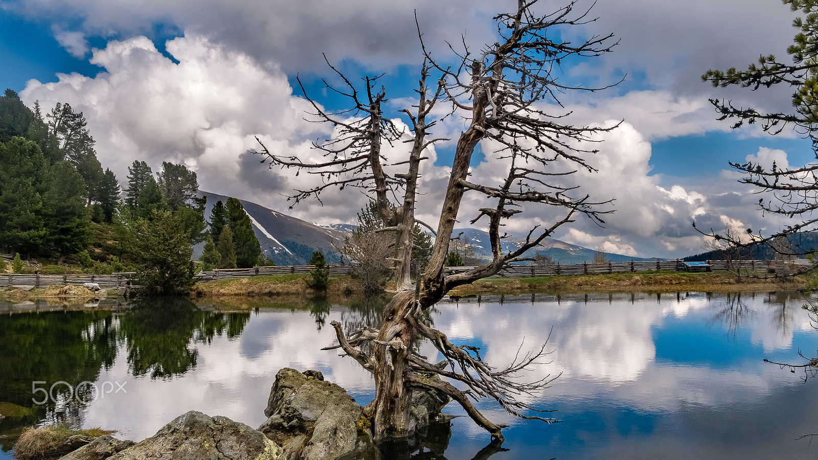 Panasonic DMC-G81 sample photo. Windebensee photography