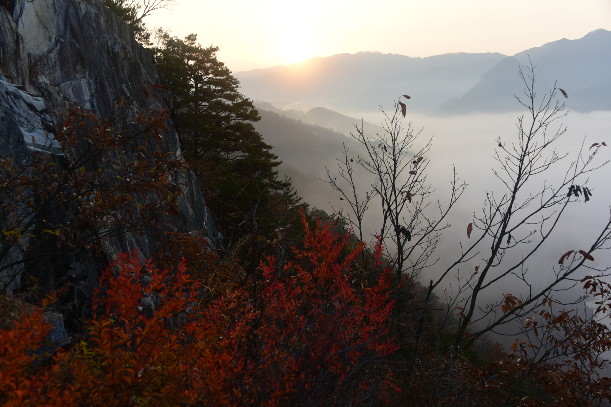 Nikon D750 sample photo. *the red & the sun photography