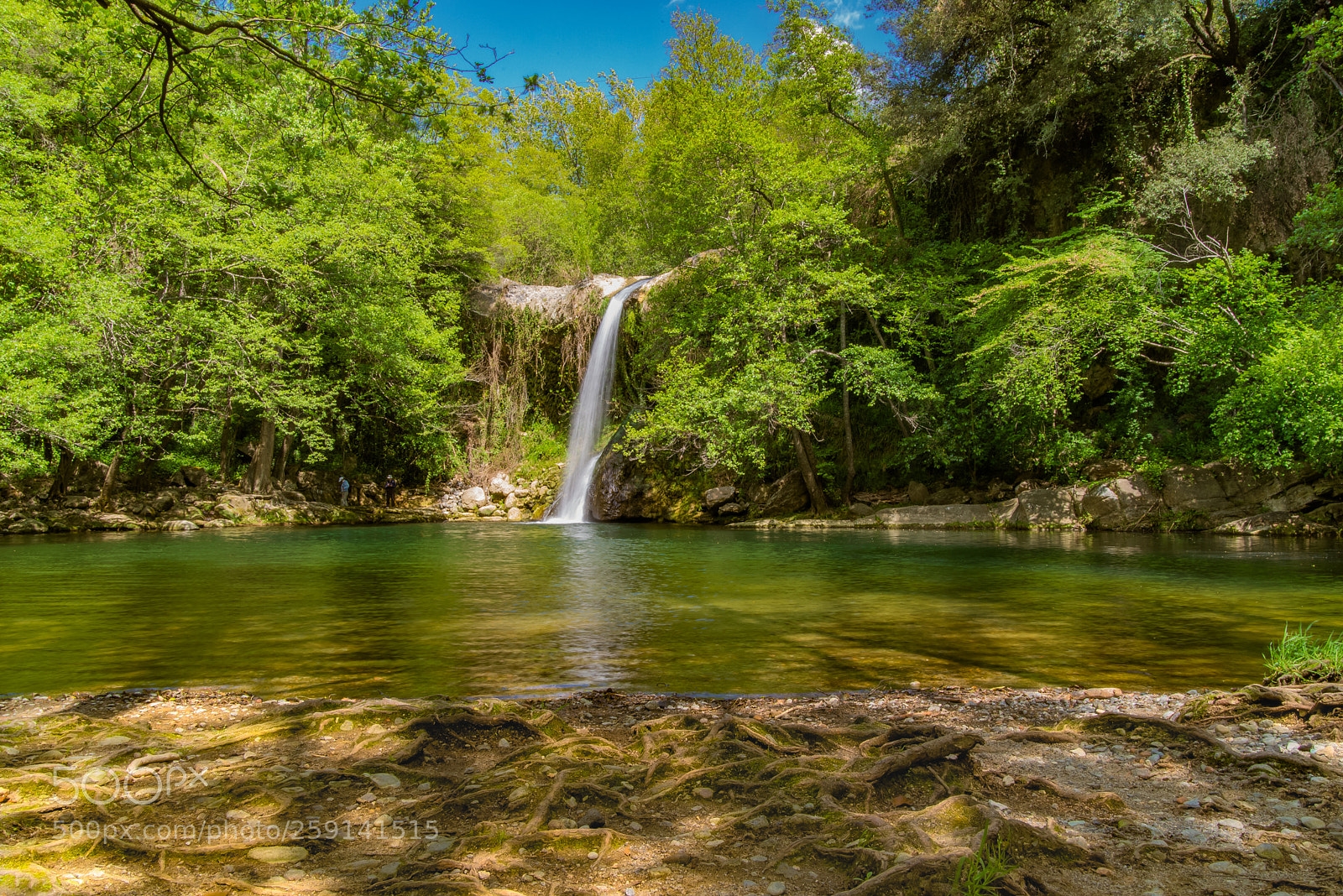 Nikon D610 sample photo. Gorg de santa margarida photography