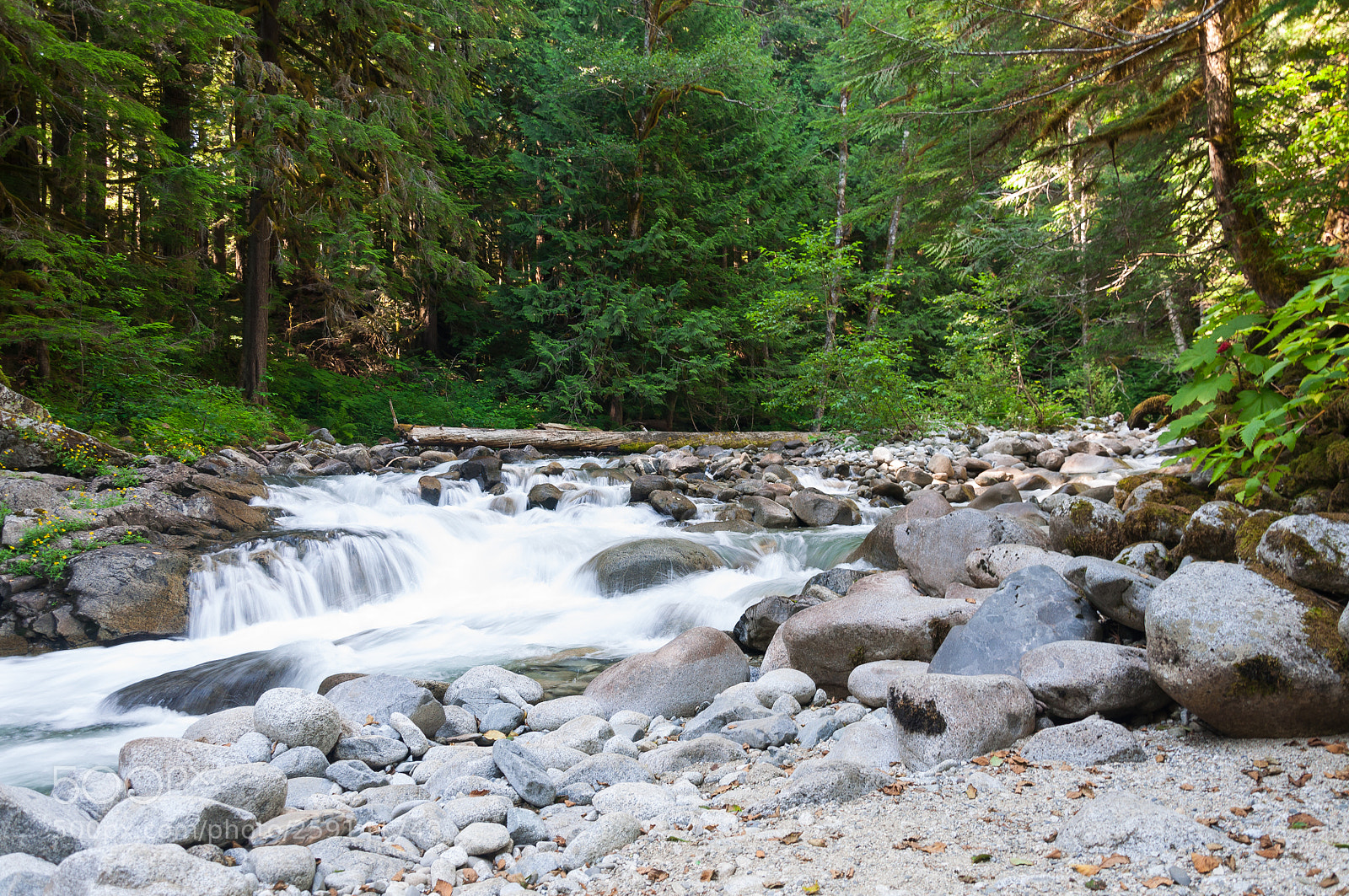 Nikon D90 sample photo. Mountain river 3 photography