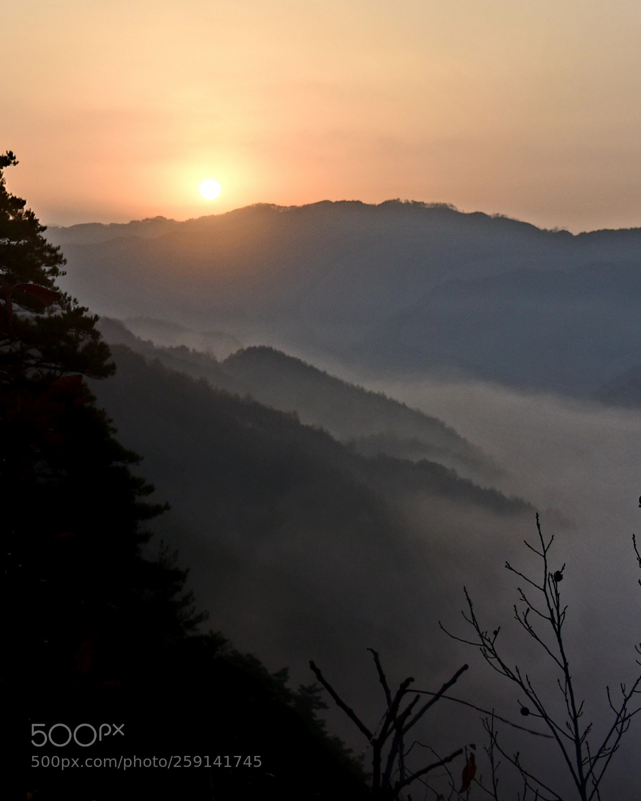 Nikon D750 sample photo. * see the sunrise photography